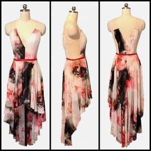 Bebe High Low Chiffon Pleated Maxi Dress Floral Illusion Sheer Pleated Dress 4